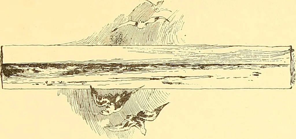 An illustration from American art and American art collections; essays on artistic subjects, 1889, leaf 136