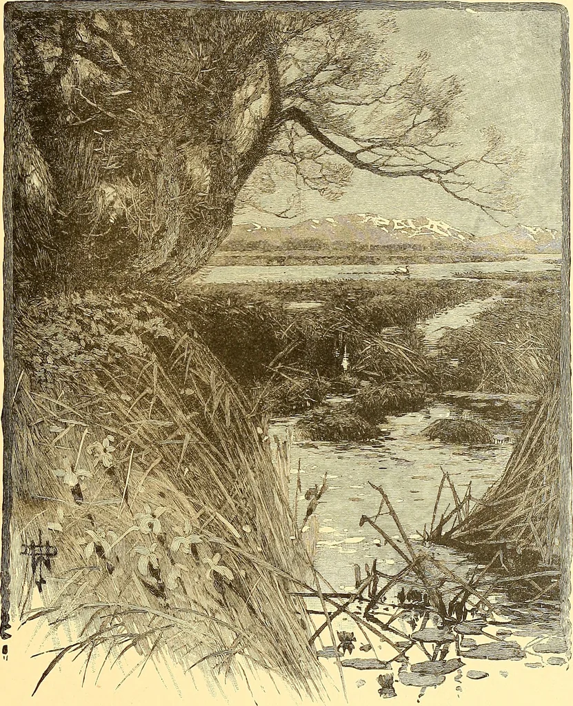 An illustration from American art and American art collections; essays on artistic subjects, 1889, leaf 138