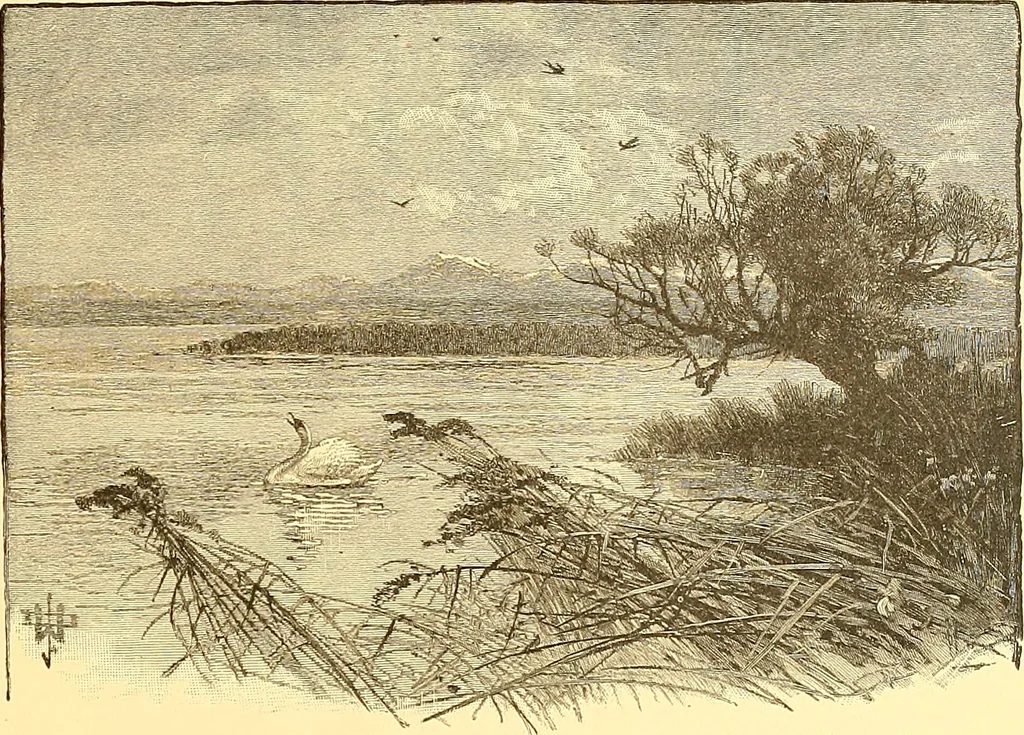 An illustration from American art and American art collections; essays on artistic subjects, 1889, leaf 140