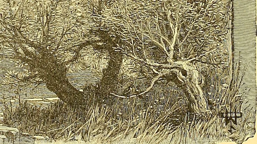 An illustration from American art and American art collections; essays on artistic subjects, 1889, leaf 147