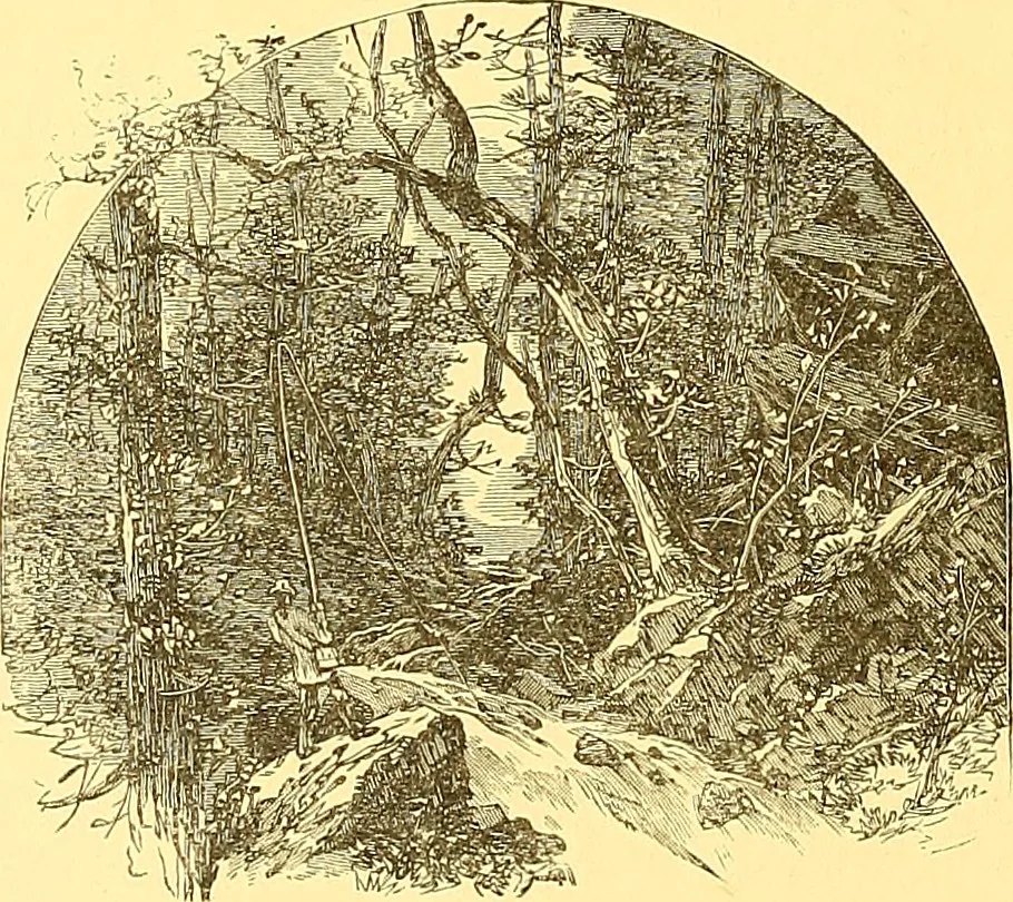 An illustration from American art and American art collections; essays on artistic subjects, 1889, leaf 151