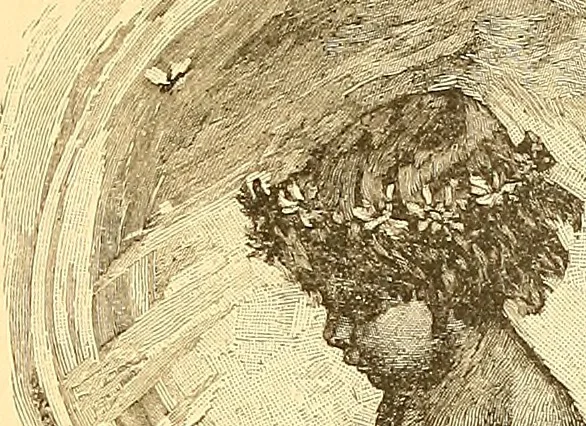 An illustration from American art and American art collections; essays on artistic subjects, 1889, leaf 216