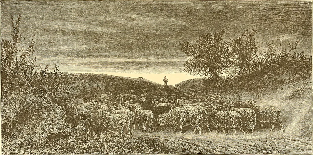 An illustration from American art and American art collections; essays on artistic subjects, 1889, leaf 246