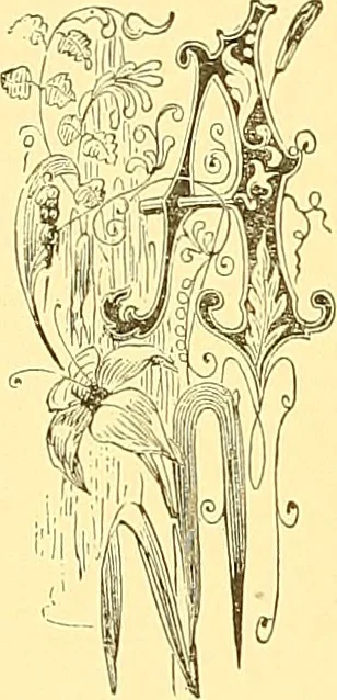 An illustration from American art and American art collections; essays on artistic subjects, 1889, leaf 247