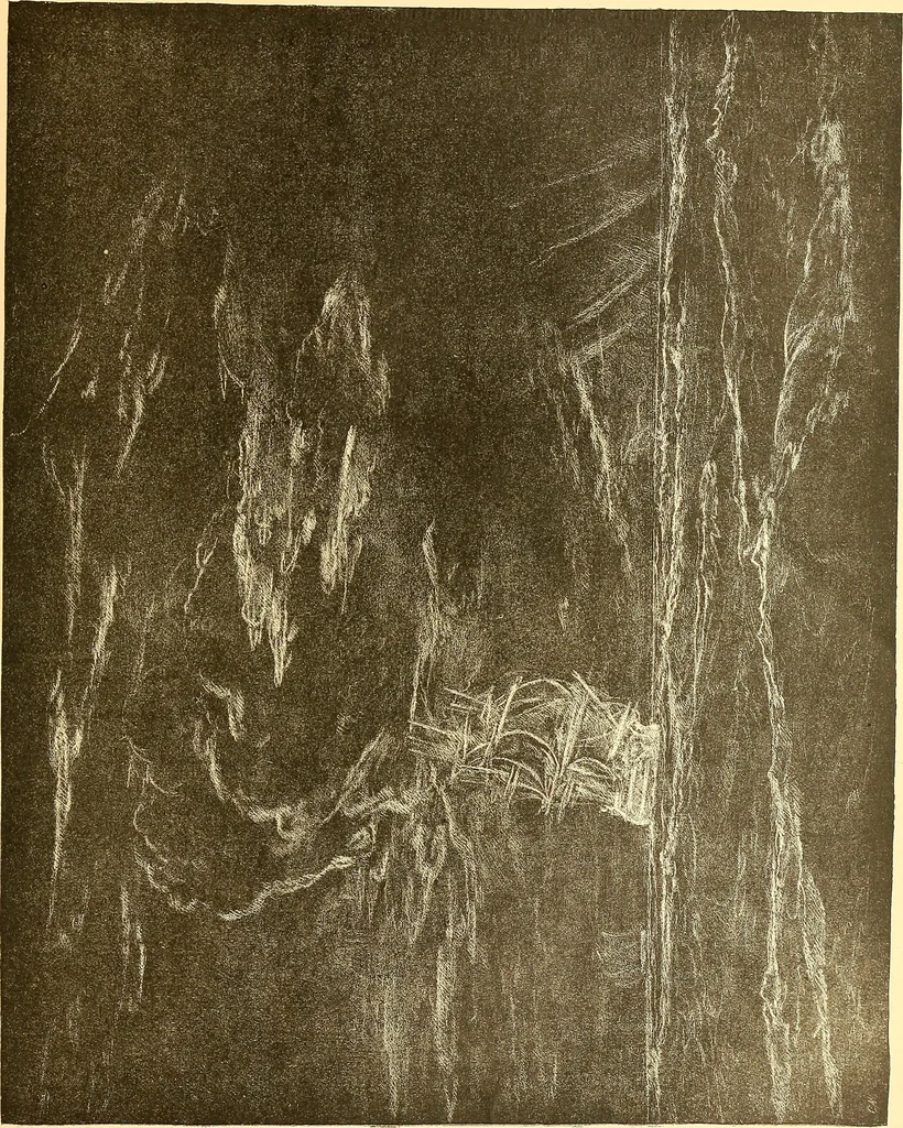 An illustration from American art and American art collections; essays on artistic subjects, 1889, leaf 268