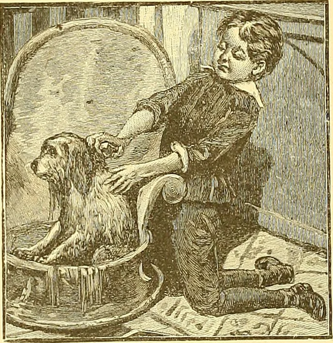 An illustration from American art and American art collections; essays on artistic subjects, 1889, leaf 295