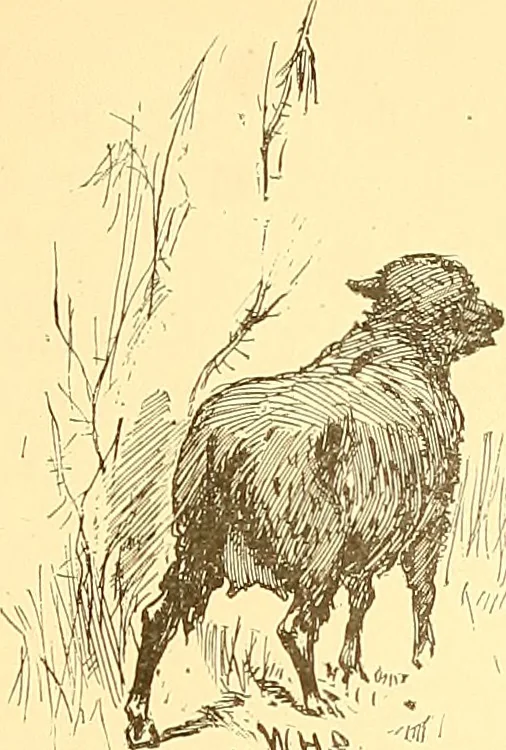 An illustration from American art and American art collections; essays on artistic subjects, 1889, leaf 300