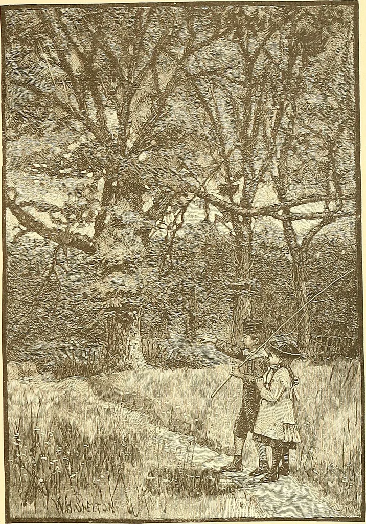 An illustration from American art and American art collections; essays on artistic subjects, 1889, leaf 306