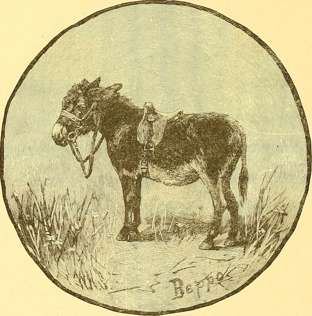 An illustration from American art and American art collections; essays on artistic subjects, 1889, leaf 307