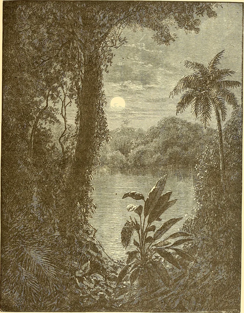 An illustration from American art and American art collections; essays on artistic subjects, 1889, leaf 322