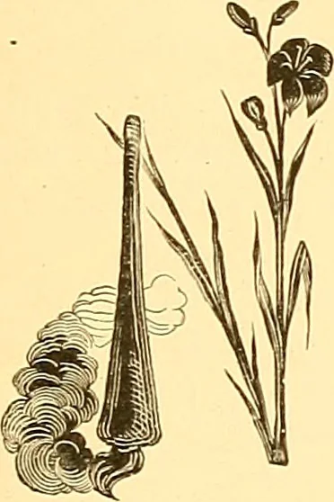 An illustration from American art and American art collections; essays on artistic subjects, 1889, leaf 328