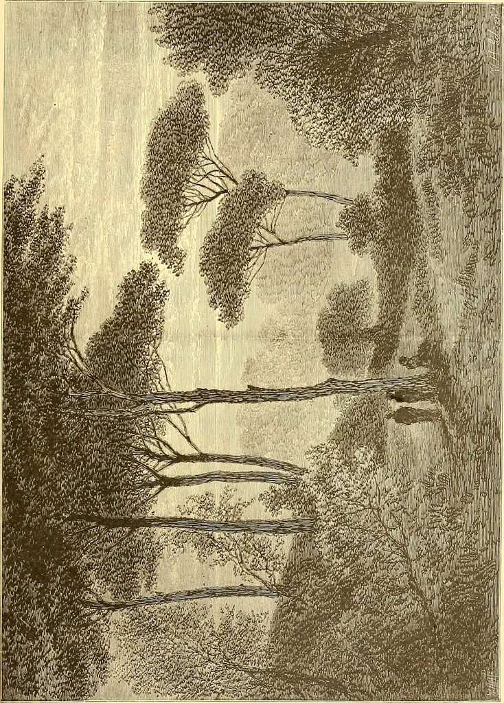 An illustration from American art and American art collections; essays on artistic subjects, 1889, leaf 330