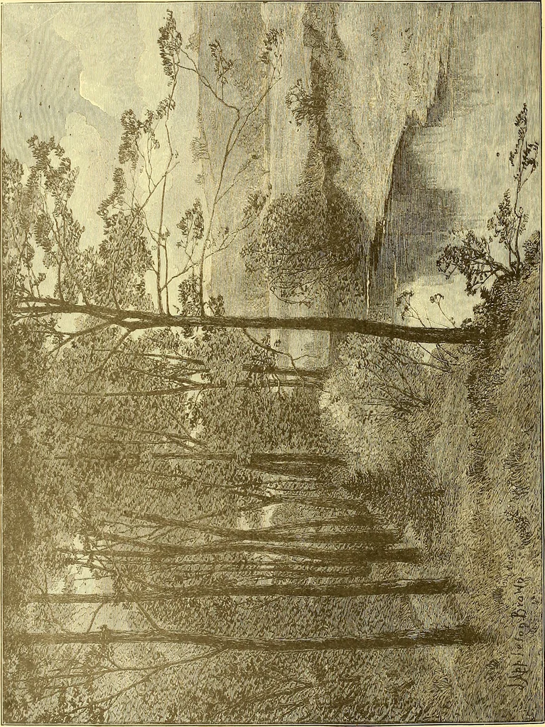 An illustration from American art and American art collections; essays on artistic subjects, 1889, leaf 339