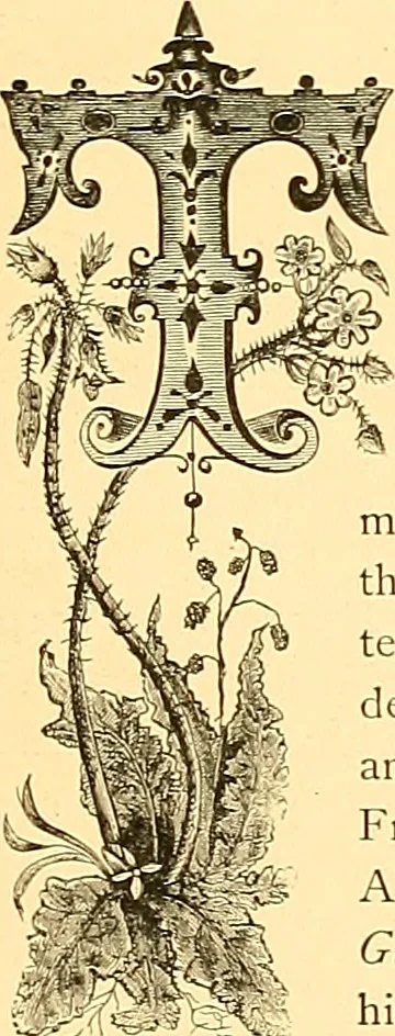 An illustration from American art and American art collections; essays on artistic subjects, 1889, leaf 356