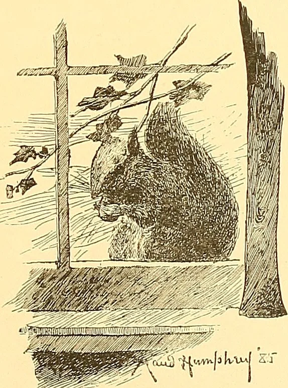 An illustration from American art and American art collections; essays on artistic subjects, 1889, leaf 36