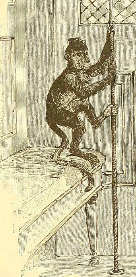 An illustration from American art and American art collections; essays on artistic subjects, 1889, leaf 384