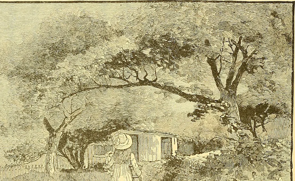 An illustration from American art and American art collections; essays on artistic subjects, 1889, leaf 387