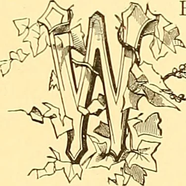 An illustration from American art and American art collections; essays on artistic subjects, 1889, leaf 398