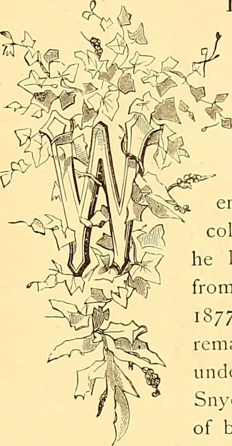 An illustration from American art and American art collections; essays on artistic subjects, 1889, leaf 430