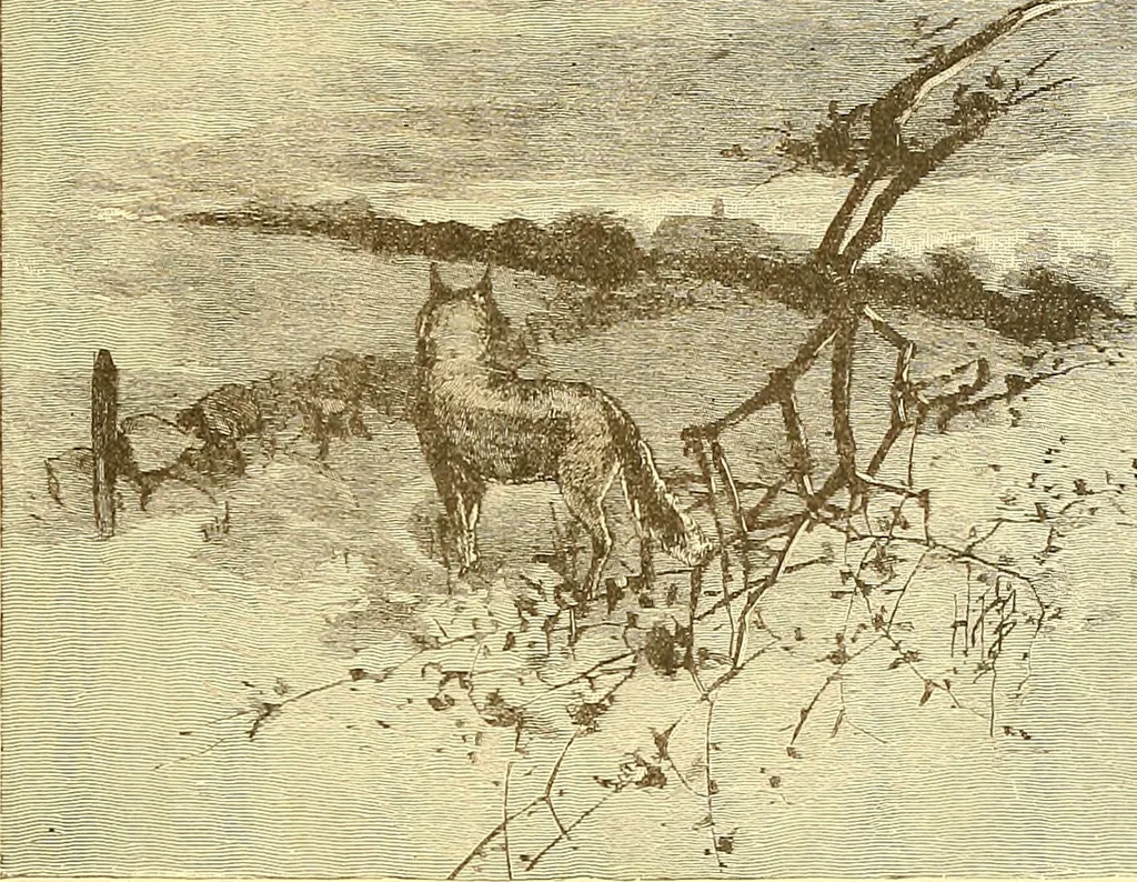 An illustration from American art and American art collections; essays on artistic subjects, 1889, leaf 440
