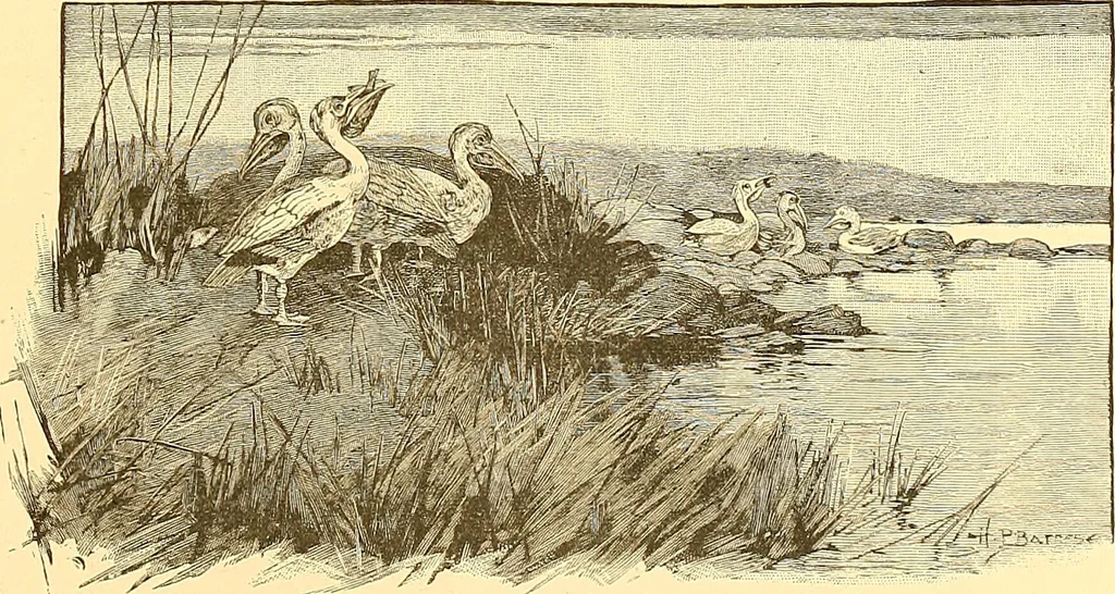 An illustration from American art and American art collections; essays on artistic subjects, 1889, leaf 440