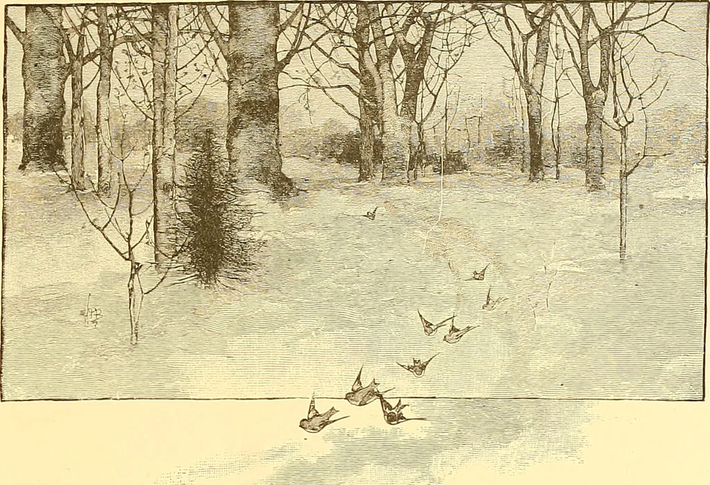 An illustration from American art and American art collections; essays on artistic subjects, 1889, leaf 444