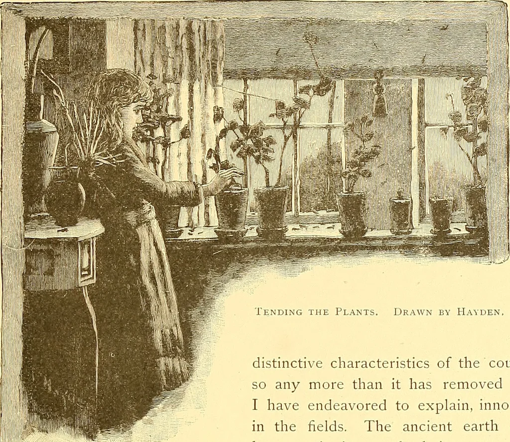 An illustration from American art and American art collections; essays on artistic subjects, 1889, leaf 450