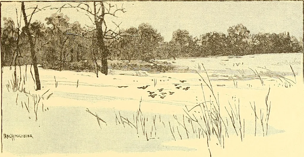 An illustration from American art and American art collections; essays on artistic subjects, 1889, leaf 458
