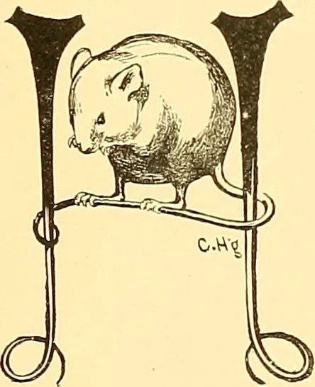 An illustration from American art and American art collections; essays on artistic subjects, 1889, leaf 458