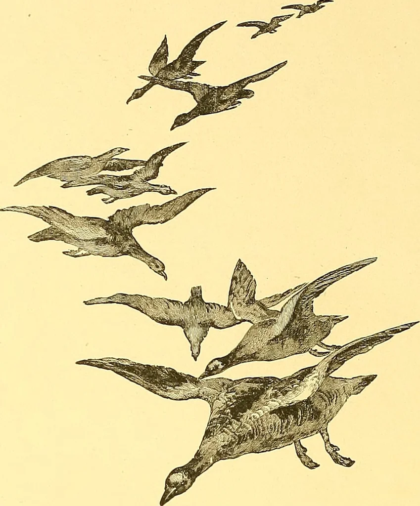 An illustration from American art and American art collections; essays on artistic subjects, 1889, leaf 463