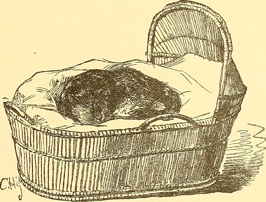 An illustration from American art and American art collections; essays on artistic subjects, 1889, leaf 468