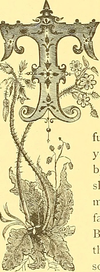 An illustration from American art and American art collections; essays on artistic subjects, 1889, leaf 489