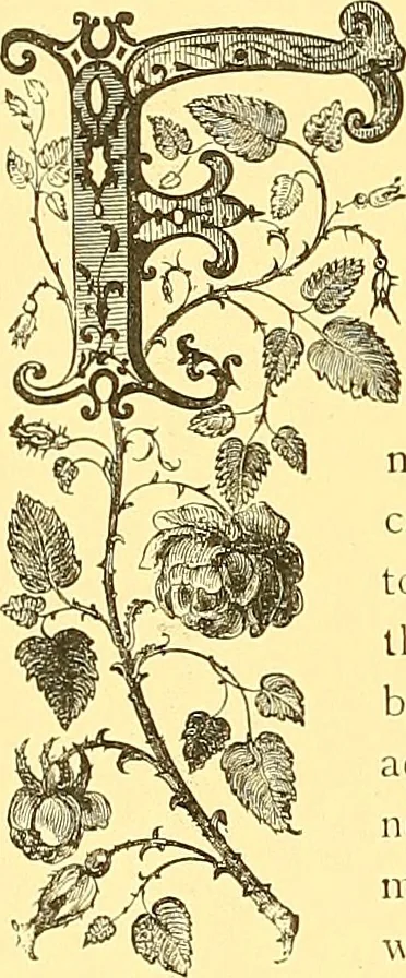 An illustration from American art and American art collections; essays on artistic subjects, 1889, leaf 509