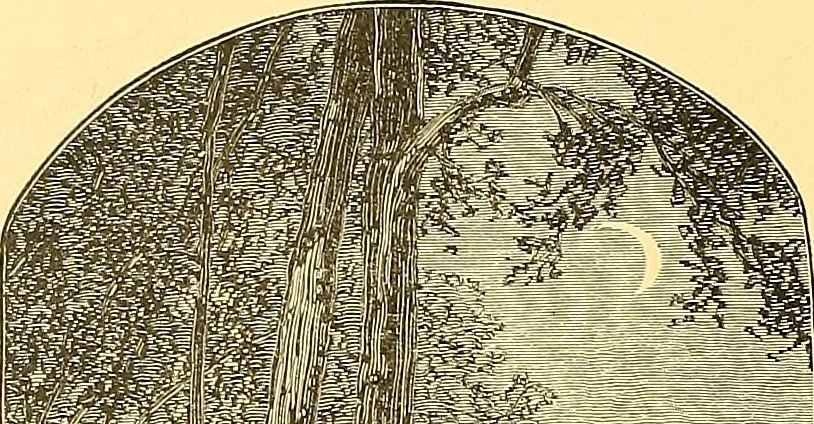 An illustration from American art and American art collections; essays on artistic subjects, 1889, leaf 513