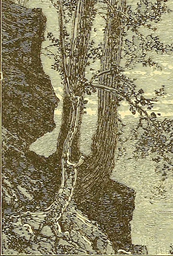 An illustration from American art and American art collections; essays on artistic subjects, 1889, leaf 513