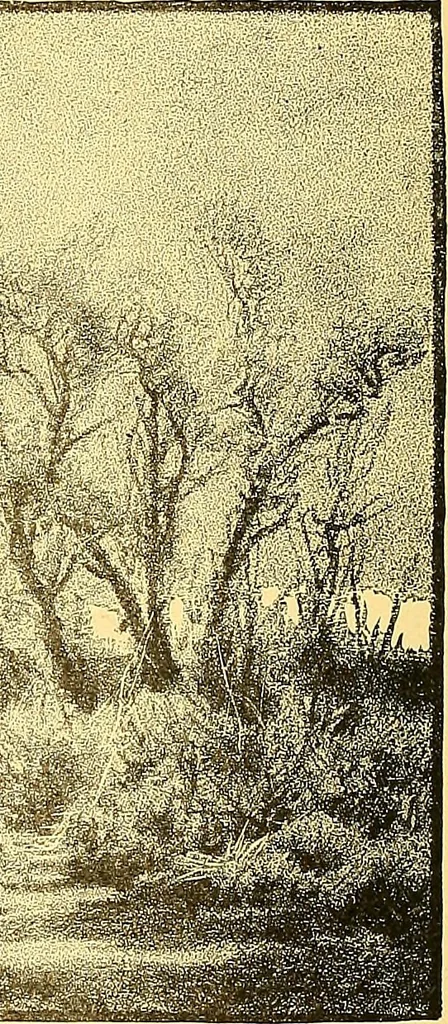 An illustration from American art and American art collections; essays on artistic subjects, 1889, leaf 527