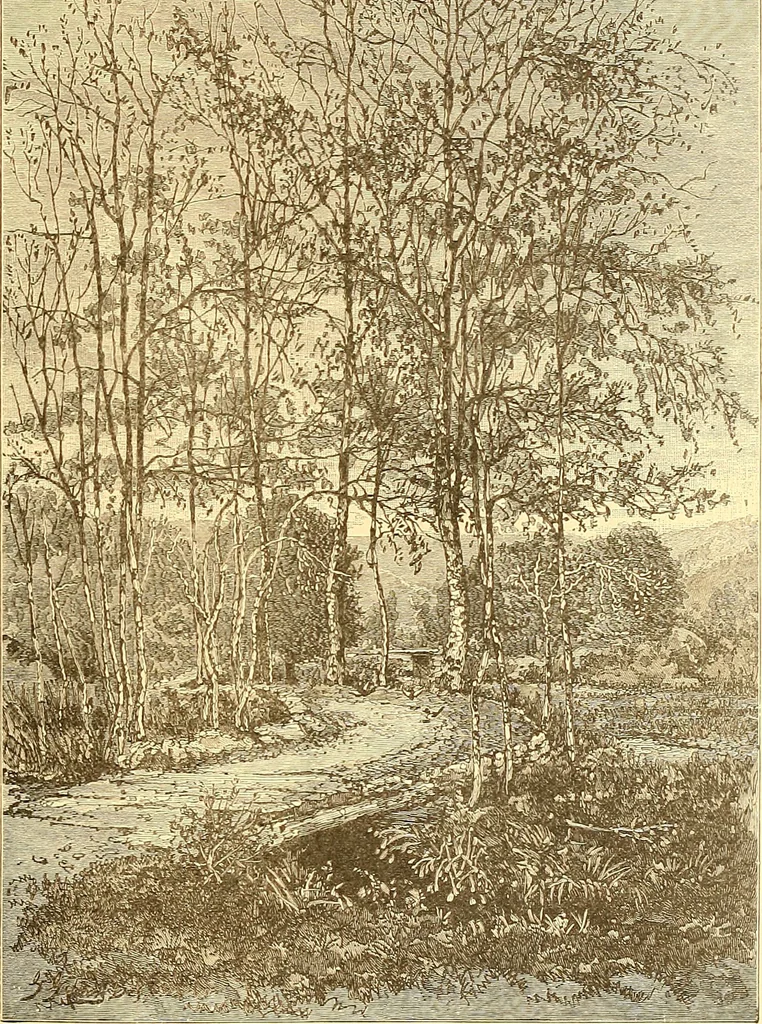 An illustration from American art and American art collections; essays on artistic subjects, 1889, leaf 528