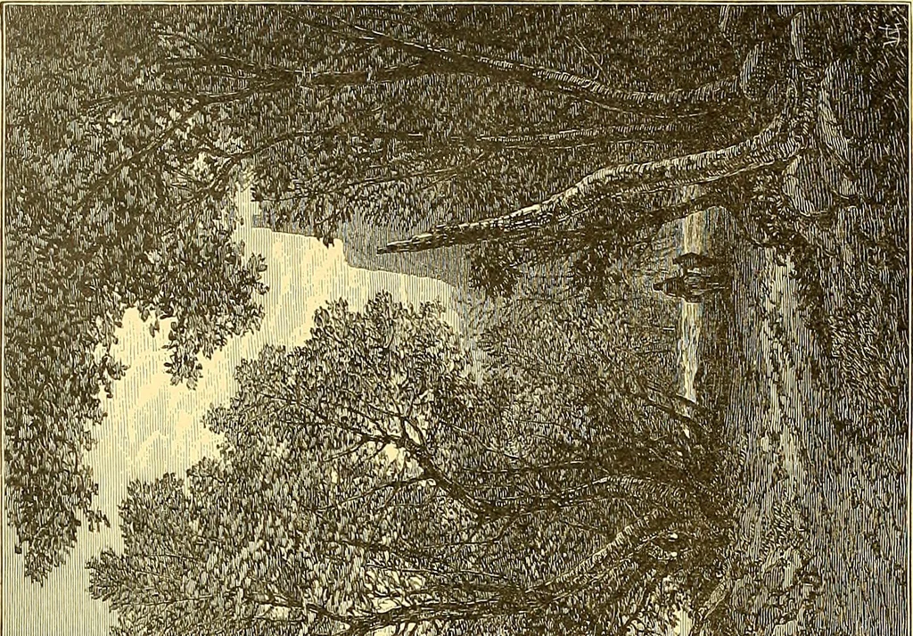 An illustration from American art and American art collections; essays on artistic subjects, 1889, leaf 555