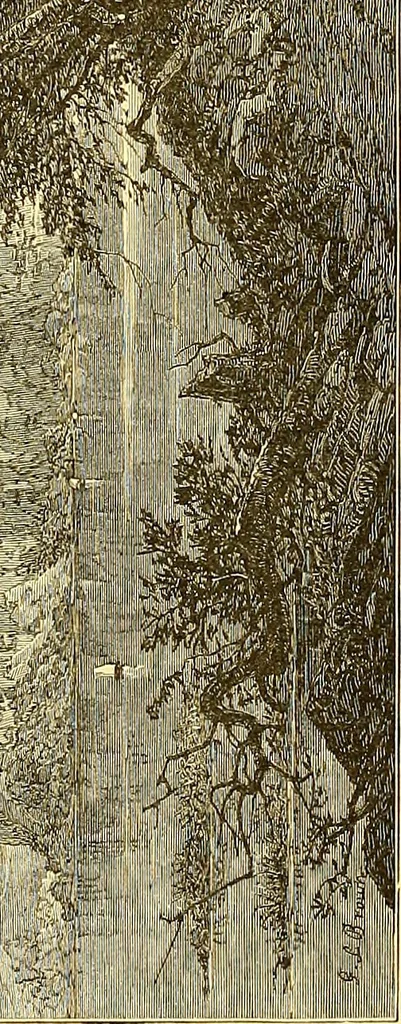 An illustration from American art and American art collections; essays on artistic subjects, 1889, leaf 555