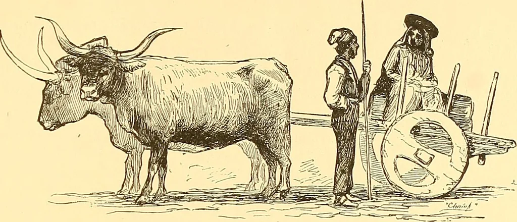 An illustration from American art and American art collections; essays on artistic subjects, 1889, leaf 56