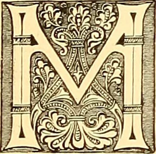 An illustration from American art and American art collections; essays on artistic subjects, 1889, leaf 560