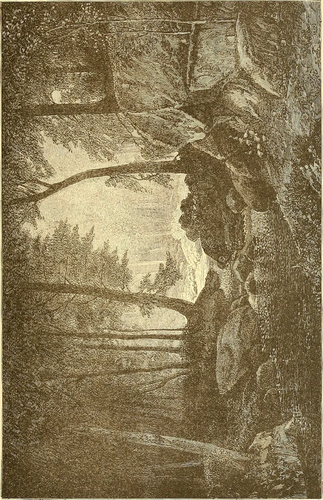 An illustration from American art and American art collections; essays on artistic subjects, 1889, leaf 562