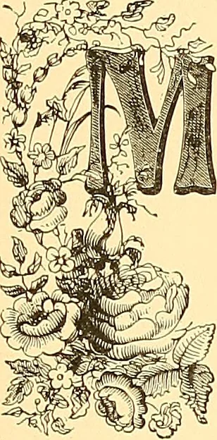 An illustration from American art and American art collections; essays on artistic subjects, 1889, leaf 78
