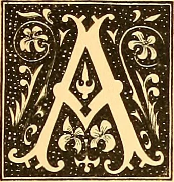 An illustration from American art and American art collections; essays on artistic subjects, 1889, leaf 8