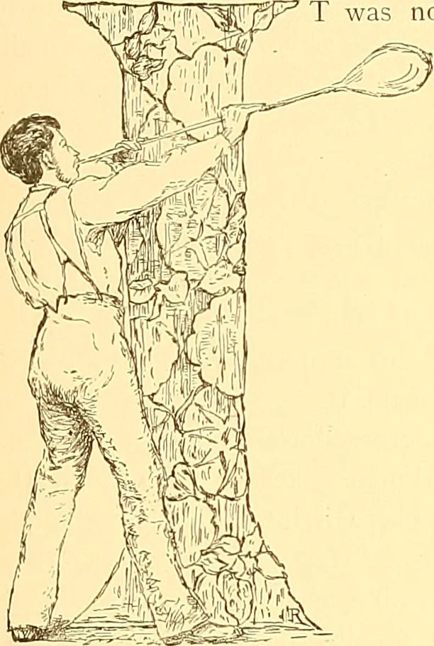 An illustration from American art and American art collections; essays on artistic subjects, 1889, leaf 96