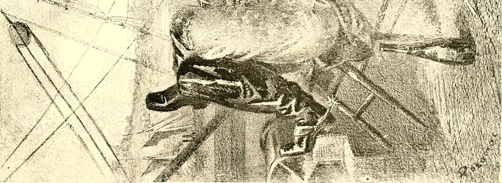 An illustration from American caricatures pertaining to the Civil War, 1918, leaf 96