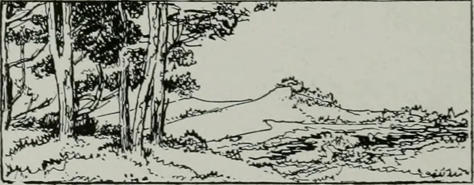 An illustration from American country houses of to-day; an illustrated account of some excellent houses built and gardens planted during the last few years, showing unmistakable influence of the modern trend in ideals architectural, 1915, leaf 15