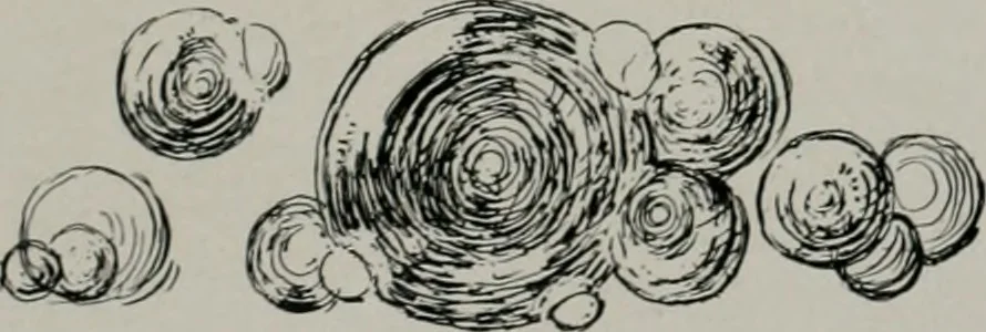An illustration from American country houses of to-day; an illustrated account of some excellent houses built and gardens planted during the last few years, showing unmistakable influence of the modern trend in ideals architectural, 1915, leaf 178