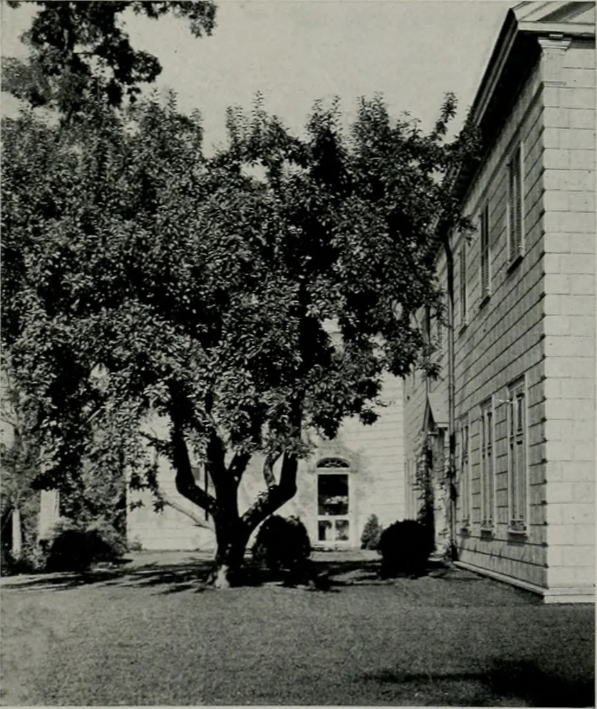 An illustration from American country houses of to-day; an illustrated account of some excellent houses built and gardens planted during the last few years, showing unmistakable influence of the modern trend in ideals architectural, 1915, leaf 268