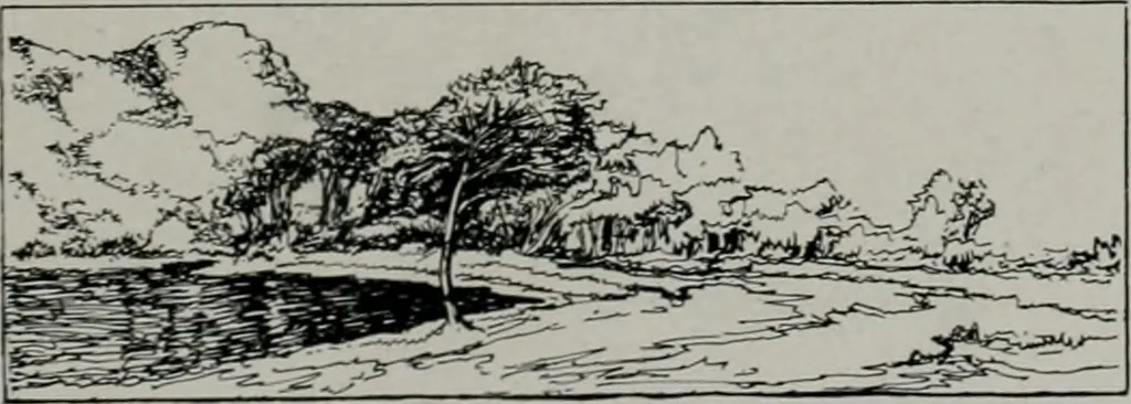 An illustration from American country houses of to-day; an illustrated account of some excellent houses built and gardens planted during the last few years, showing unmistakable influence of the modern trend in ideals architectural, 1915, leaf 320